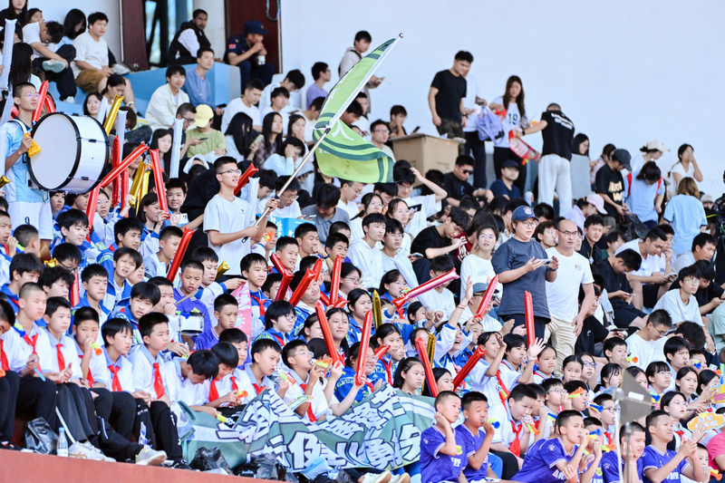 OE, 推动了全省, img OE, 推动了全省, img