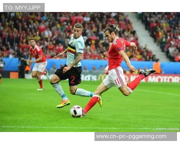 威尔士与斯洛伐克激战欧洲杯预选赛争夺晋级名额的精彩对决